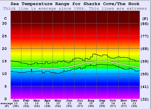 Sharks Cove/The Hook Gráfico da Temperatura do Mar