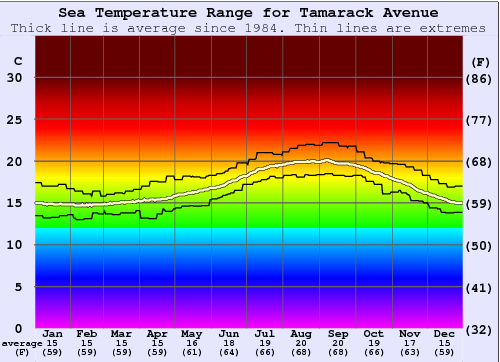 Tamarack Avenue Gráfico da Temperatura do Mar