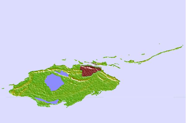 Locais de surf localizados perto de Paradise Island