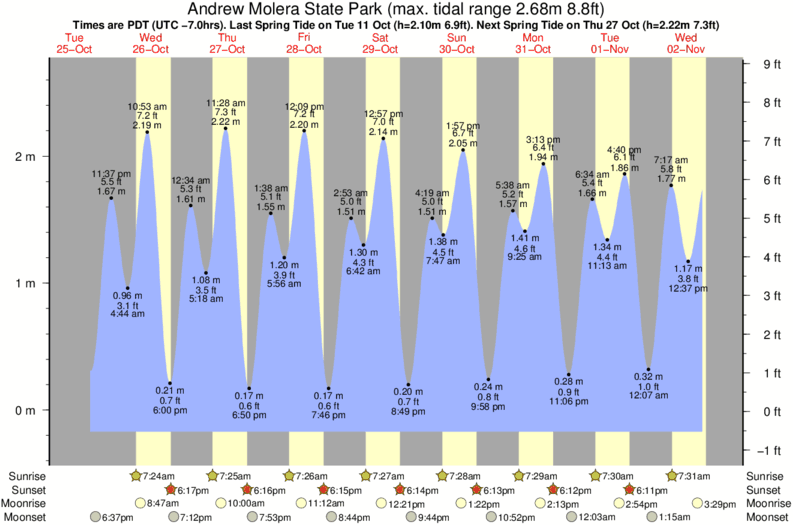 tide graph for Andrew Molera State Park surf break
