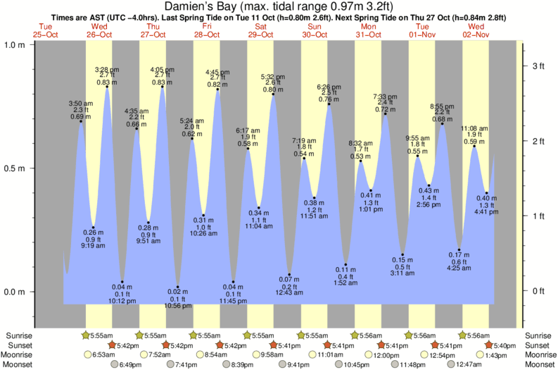 tide graph for Damien's Bay surf break