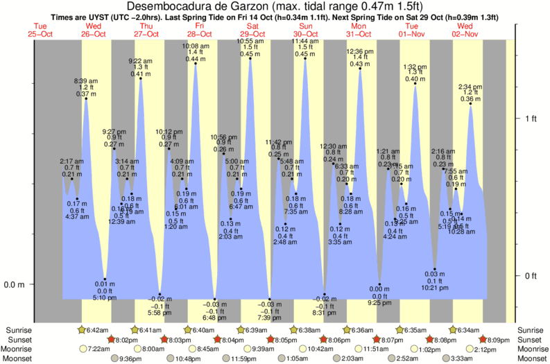 tide graph for Desembocadura de Garzon surf break
