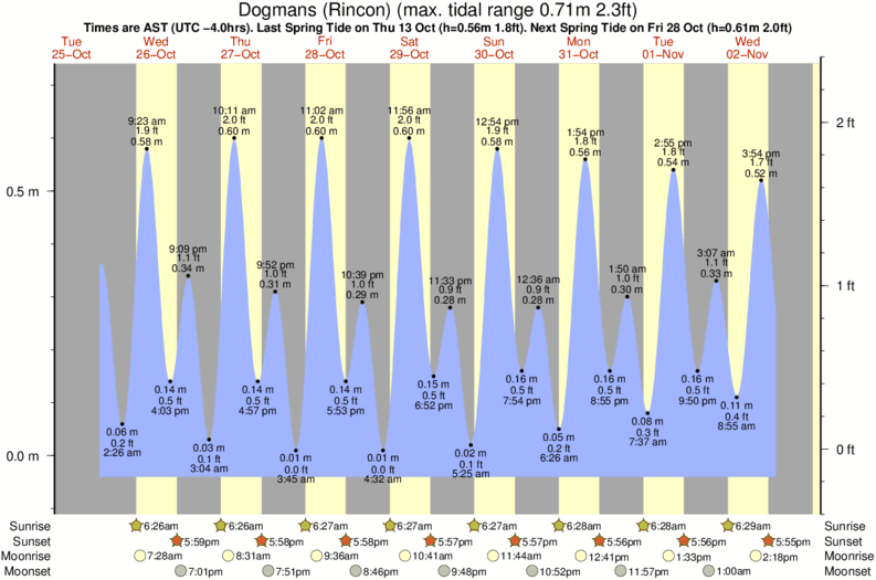 tide graph for Dogmans (Rincon) surf break