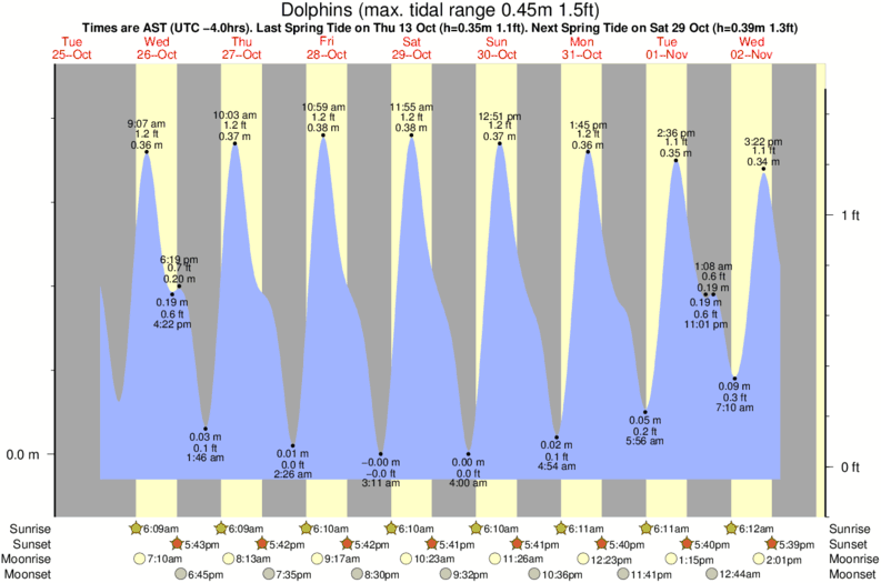 tide graph for Dolphins surf break