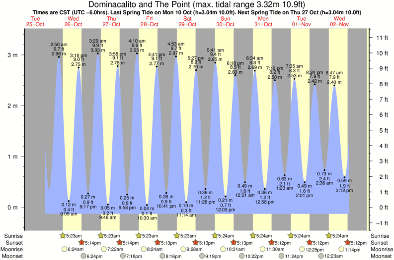 tide graph for Dominacalito and The Point surf break