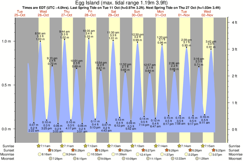tide graph for Egg Island surf break