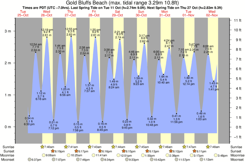 tide graph for Gold Bluffs Beach surf break