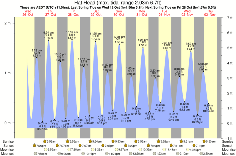 tide graph for Hat Head surf break