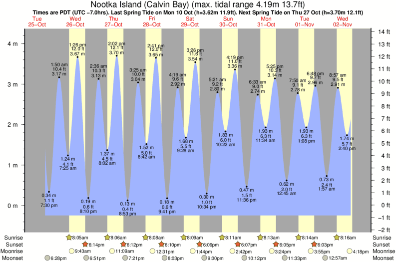 tide graph for Nootka Island (Calvin Bay) surf break