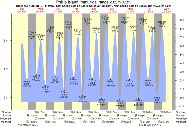 Gráficos da maré para Phillip Island, perto do spot de surf de Flynns Reef