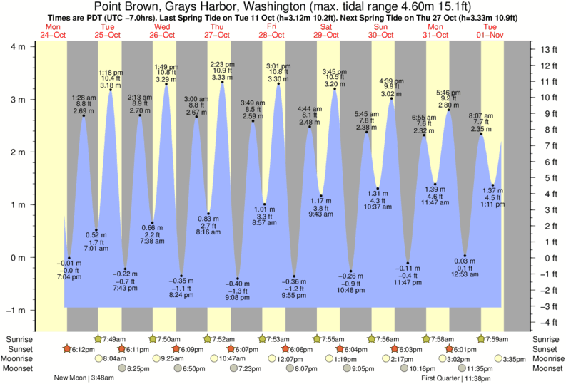 Gráficos da maré para Point Brown, Grays Harbor, Washington, perto do spot de surf de Damon Point