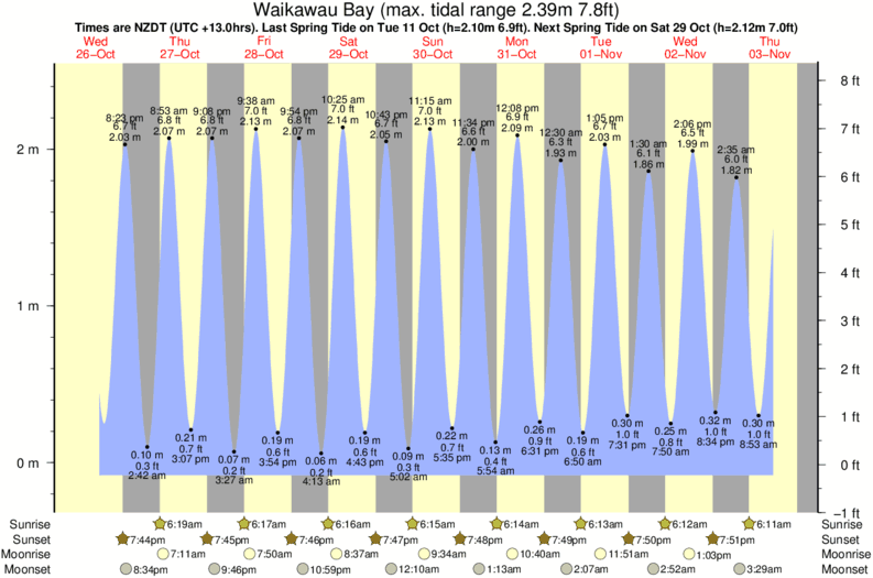 tide graph for Waikawau Bay surf break