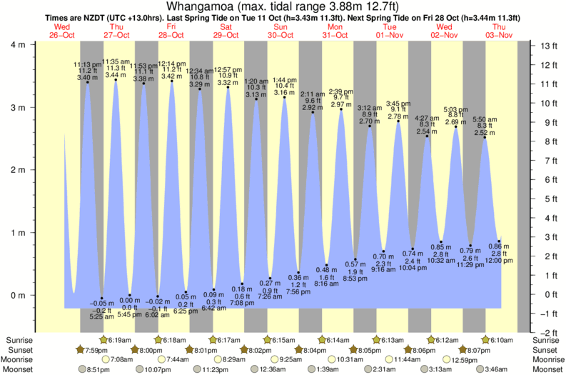 tide graph for Whangamoa surf break
