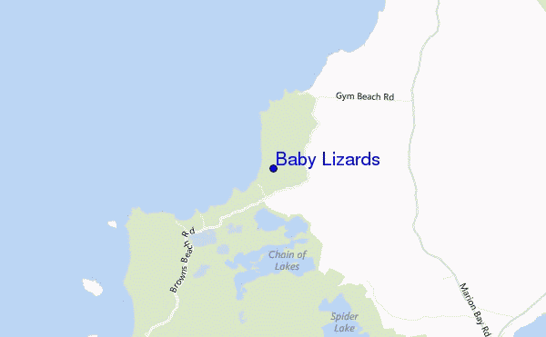 mapa de localização de Baby Lizards