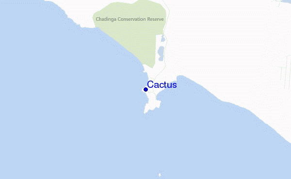 mapa de localização de Cactus