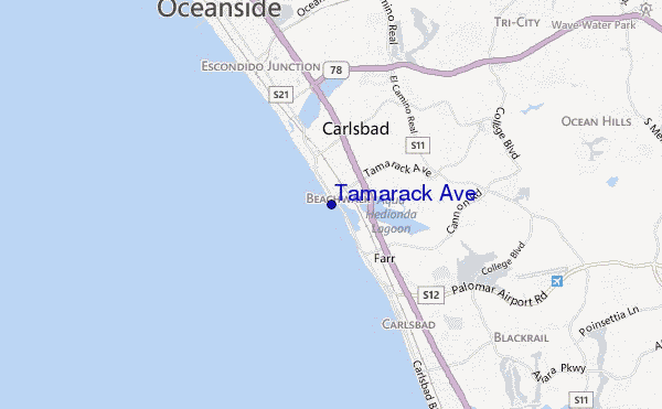 mapa de localização de Tamarack Ave.