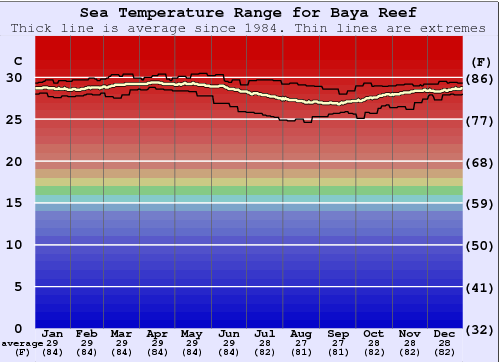 Baya Reef Gráfico da Temperatura do Mar