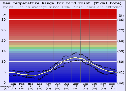 Bird Point (Tidal Bore) Gráfico da Temperatura do Mar