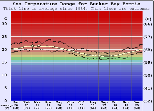 Bunker Bay Bommie Gráfico da Temperatura do Mar