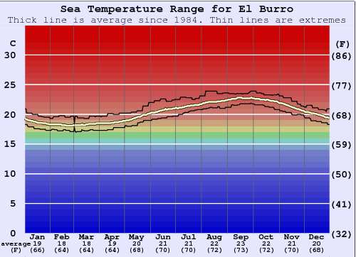 El Burro Gráfico da Temperatura do Mar