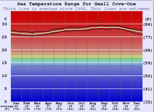 Small Cove-One Gráfico da Temperatura do Mar