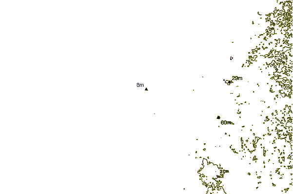 Litoral ao redor Anclote Island