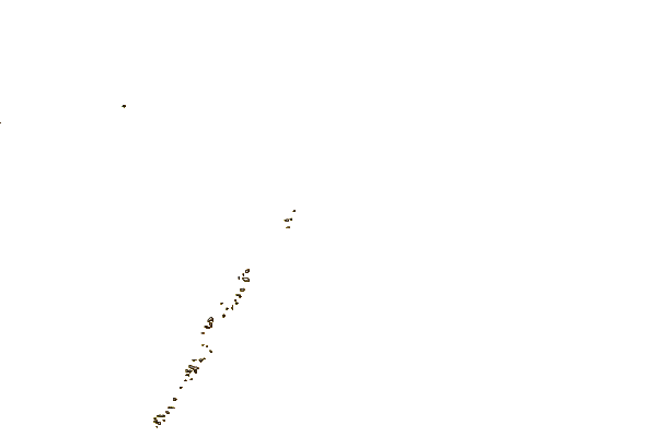 Litoral ao redor Punta Medanos