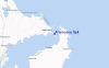 Aramoana Spit Streetview Map