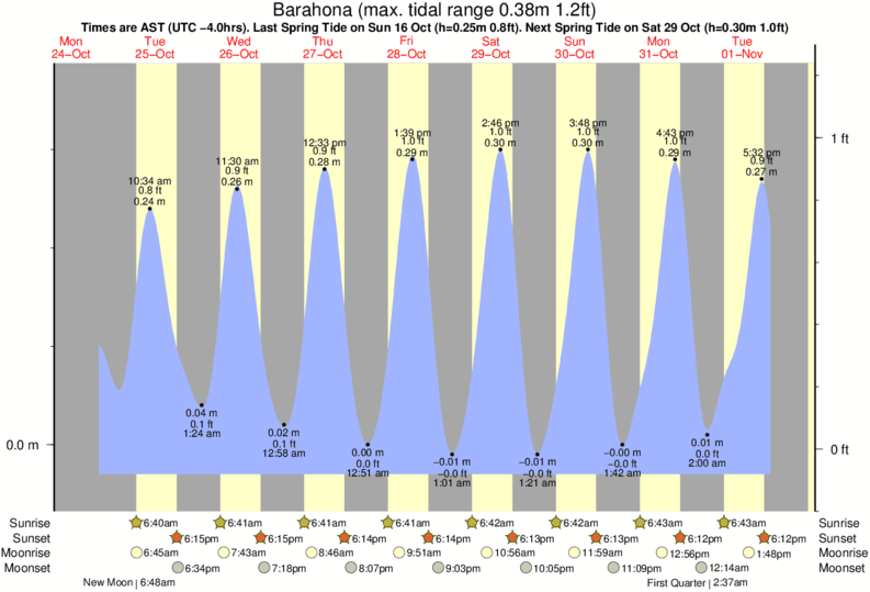 Gráficos da maré para , perto do spot de surf de Baorvco