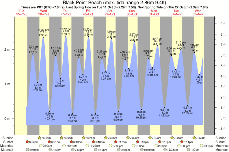 tide graph for Black Point Beach surf break