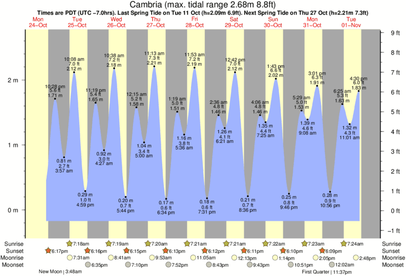 Gráficos da maré para Cambria, perto do spot de surf de Exotics