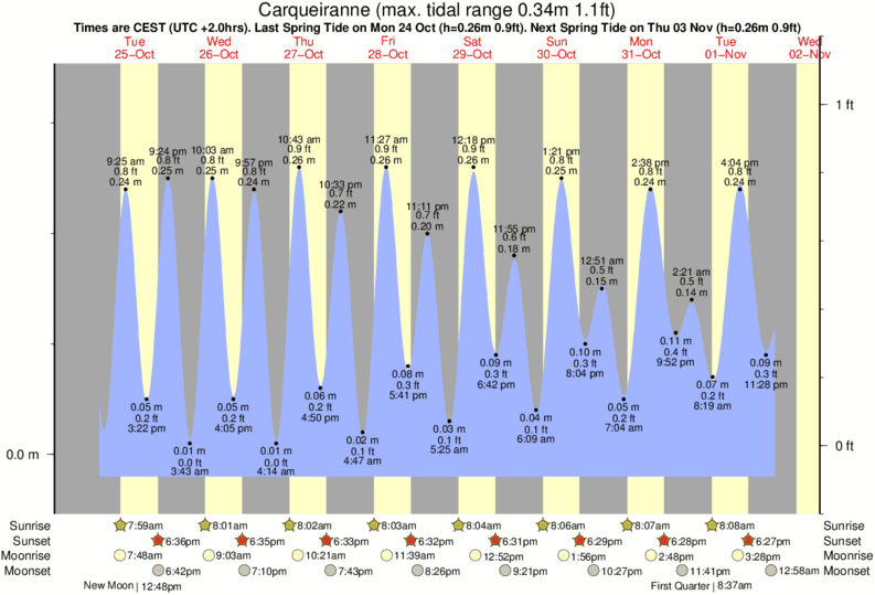 Gráficos da maré para Carqueiranne, perto do spot de surf de Almanarre - Le Petit Port
