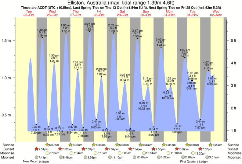 Gráficos da maré para , perto do spot de surf de Blackfellows