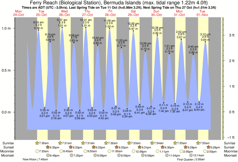 Gráficos da maré para , perto do spot de surf de Tuckers