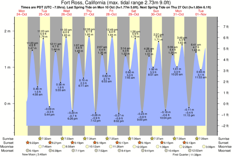 Gráficos da maré para Fort Ross, California, perto do spot de surf de Bill's Bowls