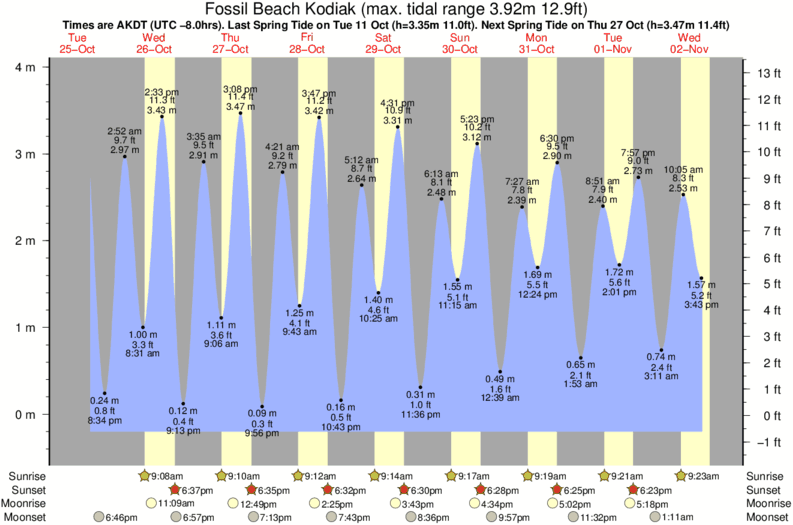 tide graph for Fossil Beach Kodiak surf break