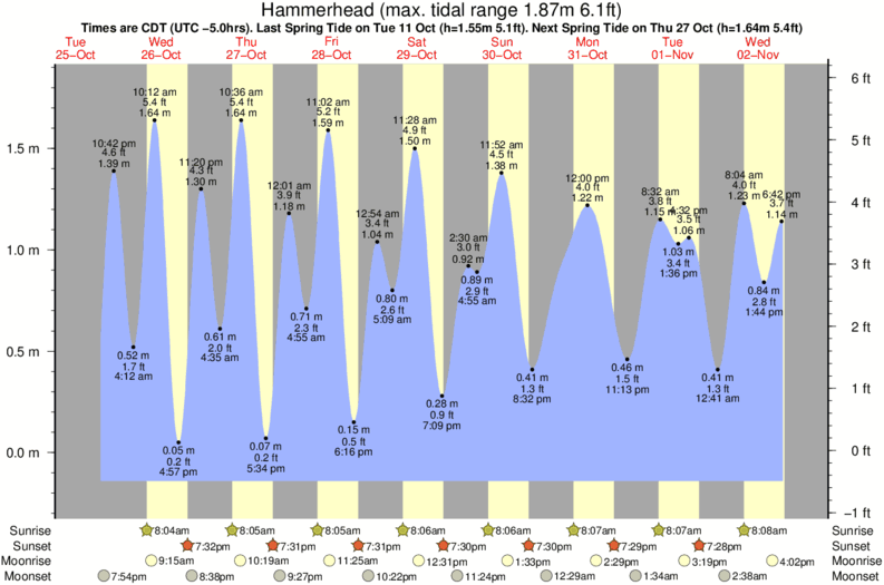 tide graph for Hammerhead surf break