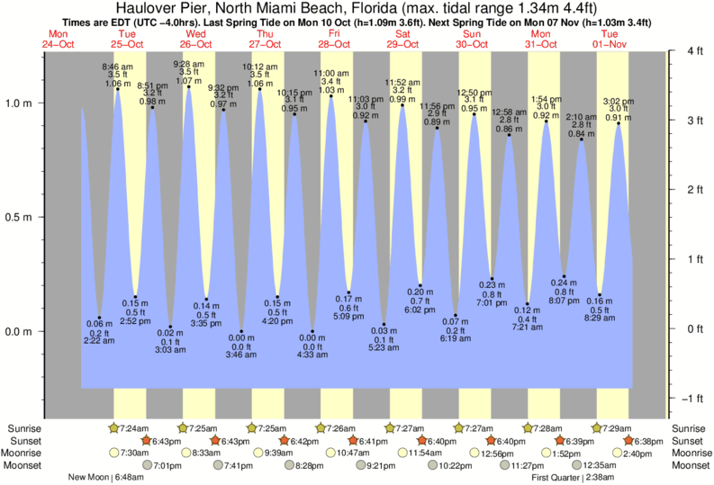 tide graph for Harbor House surf break