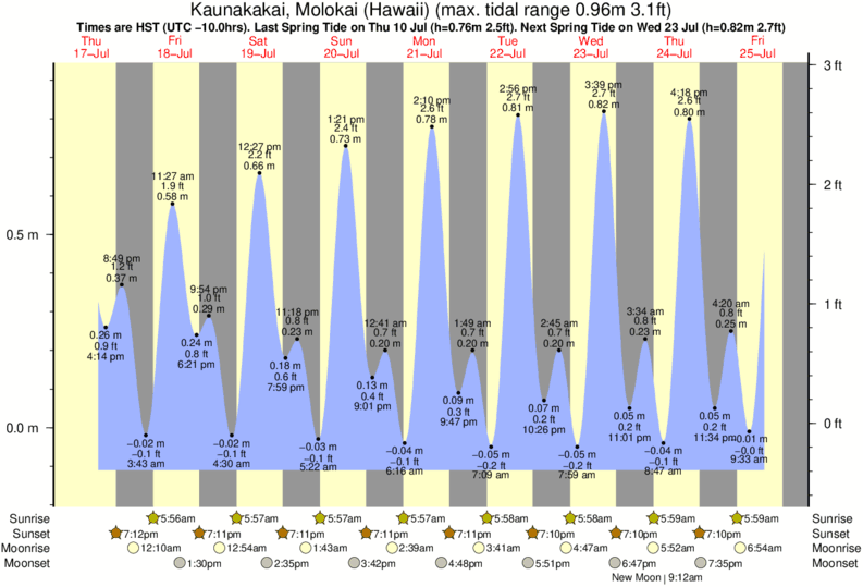 Gráficos da maré para o spot de surf The Wharf Lefts