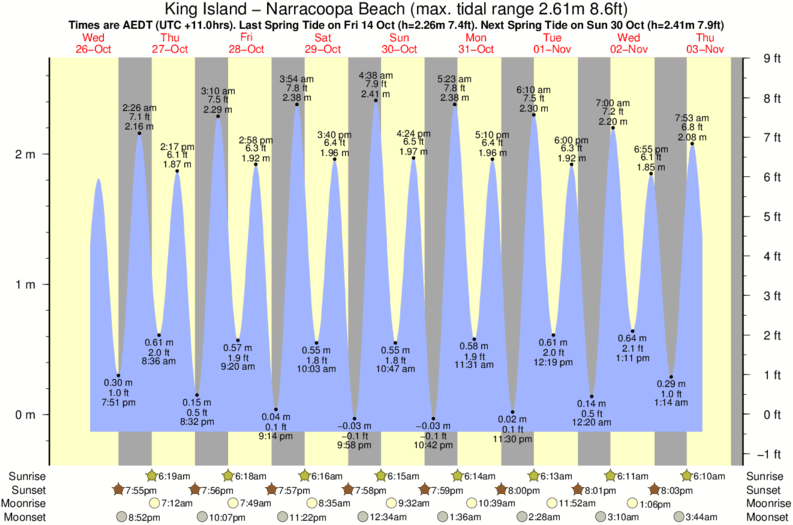tide graph for King Island - Narracoopa Beach surf break