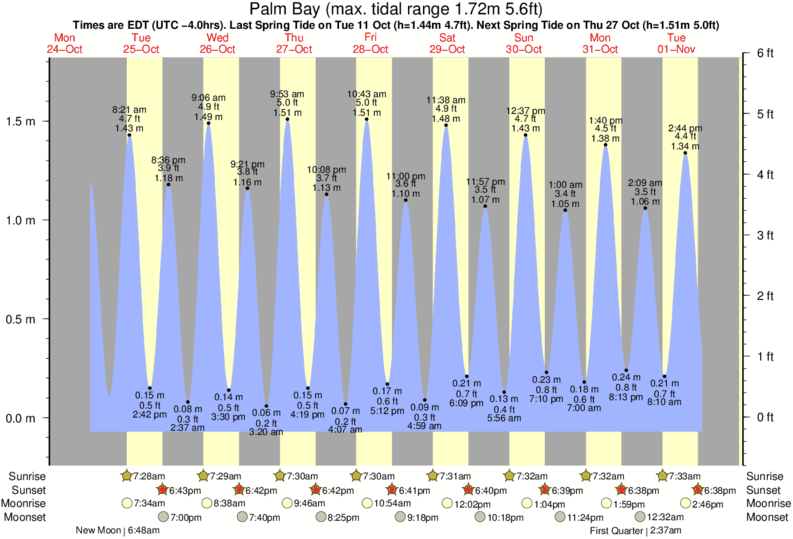 Gráficos da maré para Palm Bay, perto do spot de surf de The Boardwalk