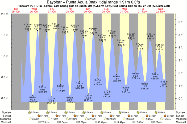 Gráficos da maré para o spot de surf Bayobar - Punta Aguja
