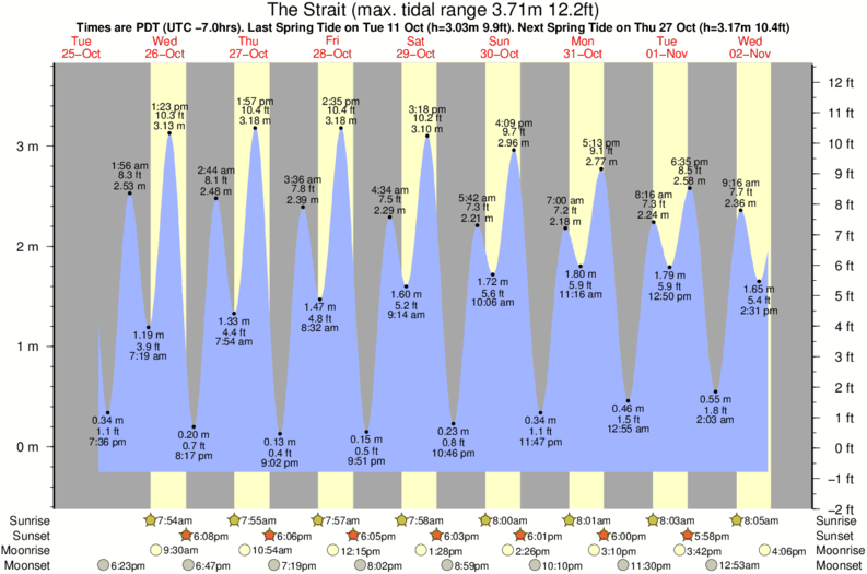 tide graph for The Strait surf break