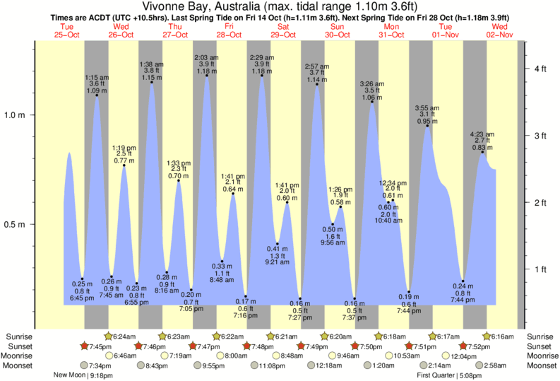 Gráficos da maré para , perto do spot de surf de Cape Young Husband